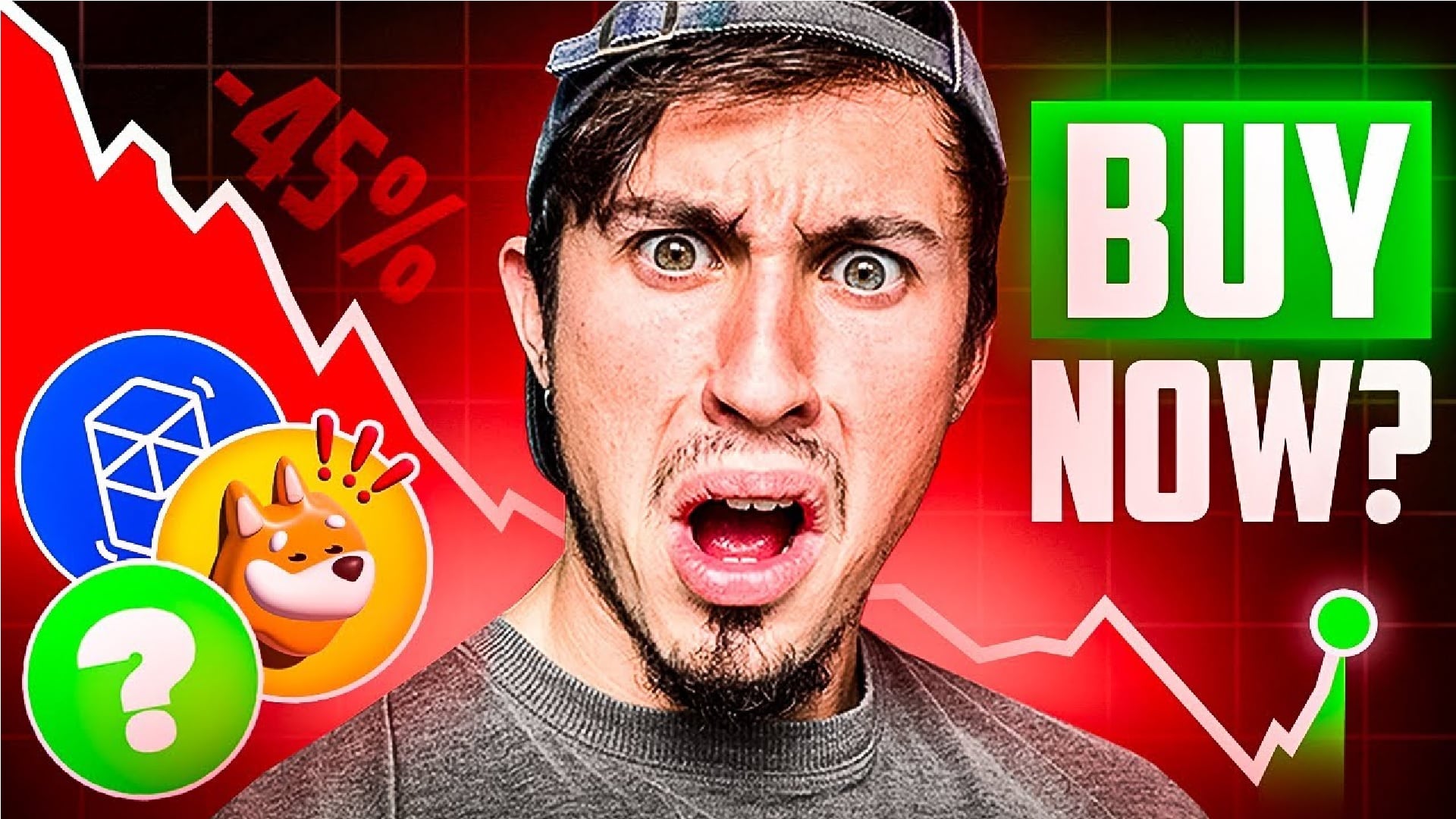 Best Altcoins to Buy During the Crypto Crash  Next Cryptos Set to Explode?