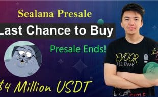 Crypto Boy Reviews Fastest Growing Solana Meme Coin Presale – Last Chance to Buy $SEAL ICO