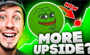 Pepe Coin’s Price Rebounds While New Layer-2 Meme Coin Presale Sets Up for Major Gains