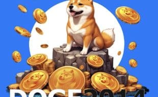 Potential of Doge2014