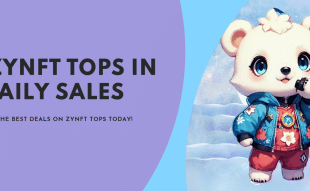 ZYNFT Tops Daily Sales 2