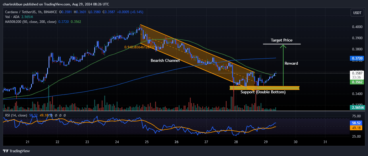 Cardano price