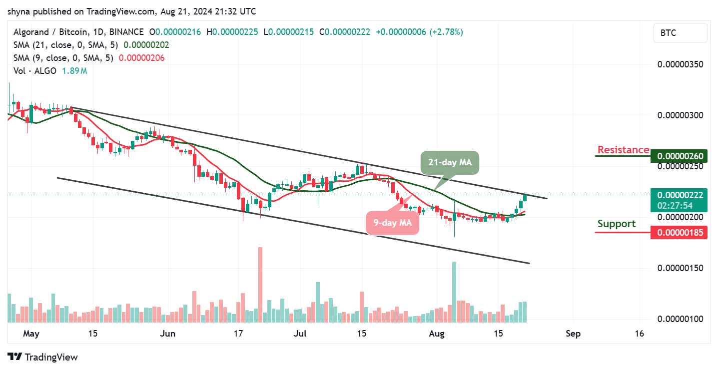 Algorand Price Prediction for Today, August 21 – ALGO Technical Analysis