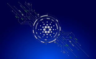 Cardano