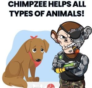 Chimpzee help all animals
