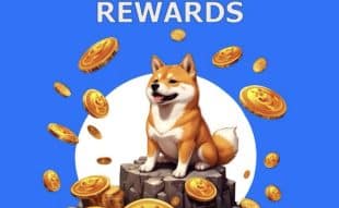 Doge2014 Stake to Earn