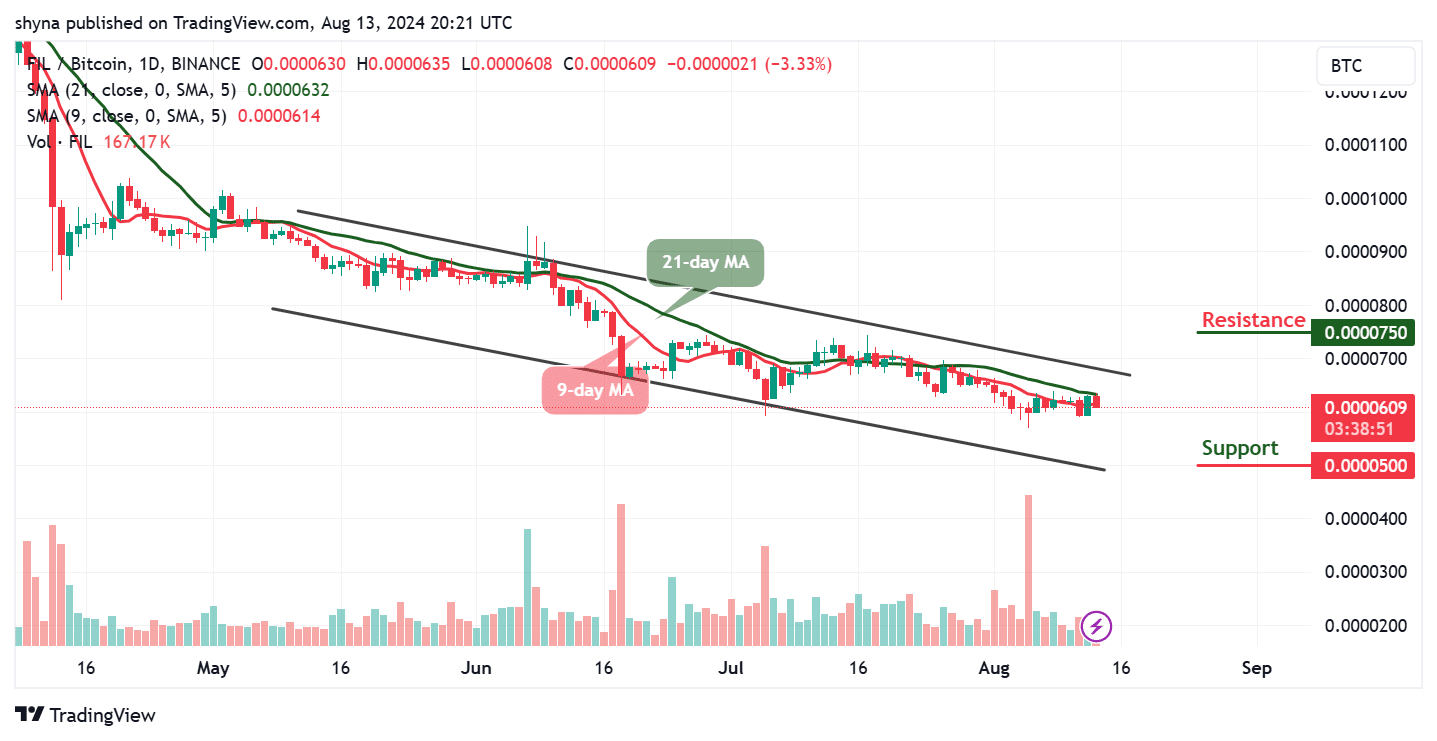 Filecoin Price Prediction for Today, August 13 – FIL Technical Analysis