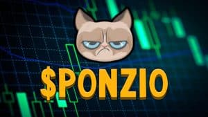 Ponzio The Cat Price