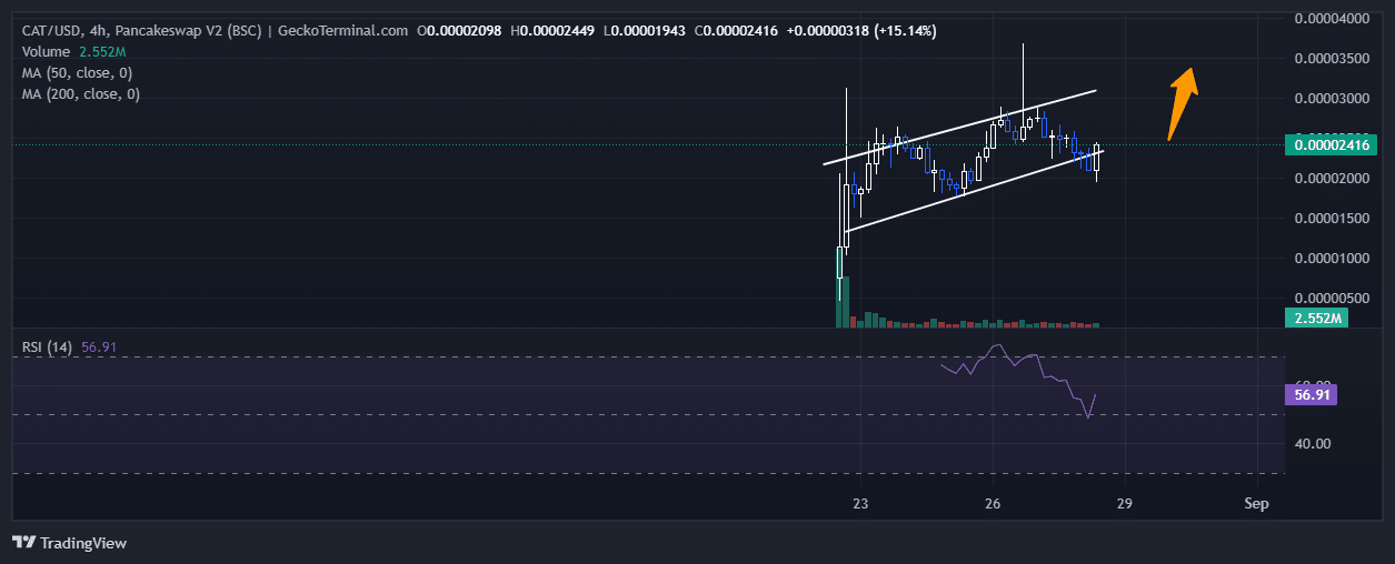 Simon's Cat price Chart Analysis Source: GeckoTerminal.com