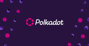 Polkadot pirce