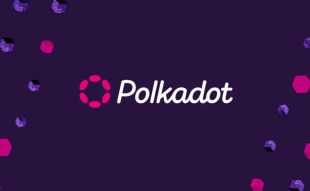 Polkadot