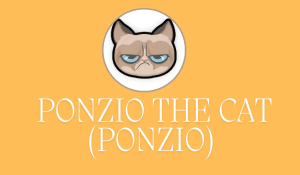 Ponzio The Cat price