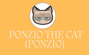 Ponzio The Cat price