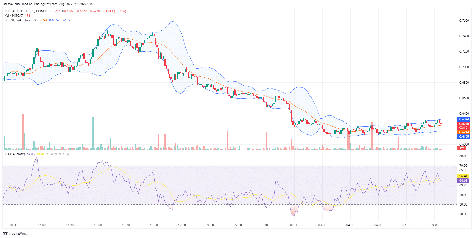 Popcat Price Prediction