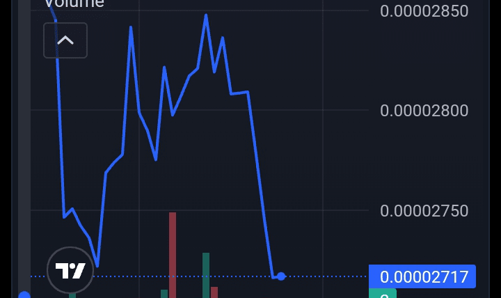 RocketCat price chart