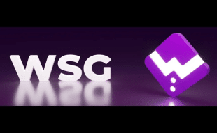 WSG