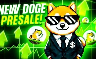 Crypto Analyst Bullish on PlayDoge Presale as the Best Crypto to Invest In Right Now