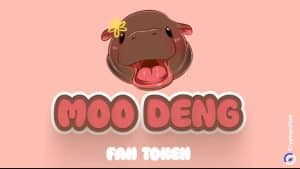 Moo Deng price