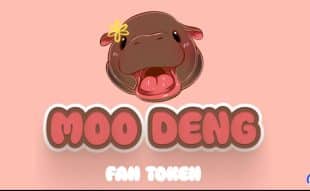 Moo Deng price