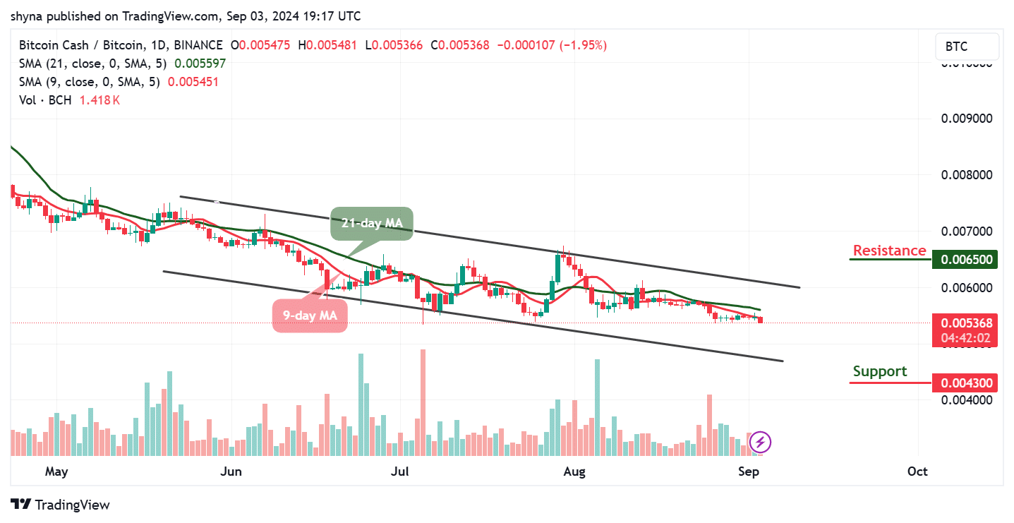 Bitcoin Cash Price Prediction Today September 3 – BCH Technical Analysis