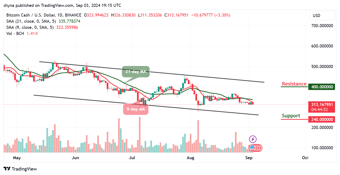 Bitcoin Cash Price Prediction for Today, September 3 – BCH Technical Analysis