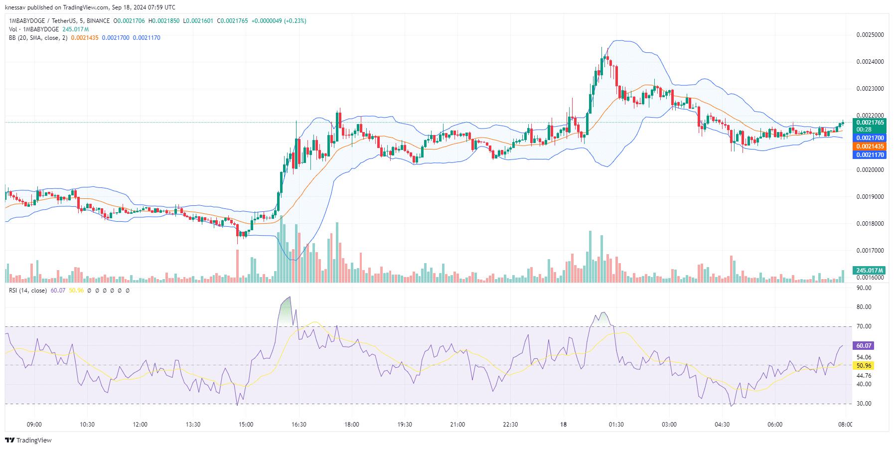 Baby Doge Coin Price Prediction