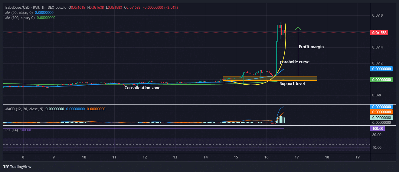 Baby Doge Coin Price