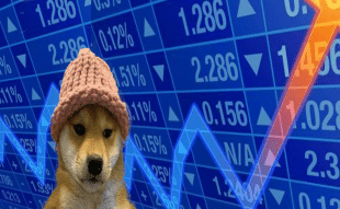 Dogwifhat price