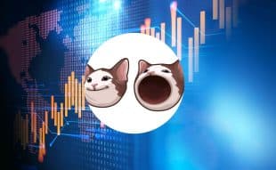 Popcat Price