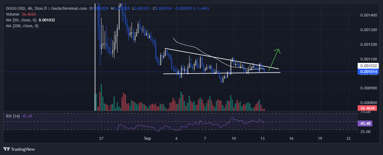 DOGS Price Chart Analysis Source: GeckoTerminal.com