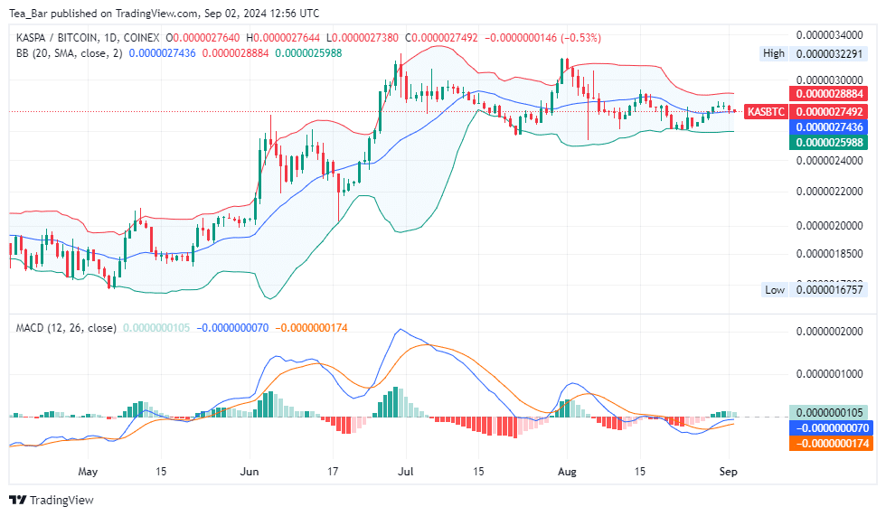 Kaspa (KAS) Price Analysis for Today, September 2 – KAS Technical Analysis