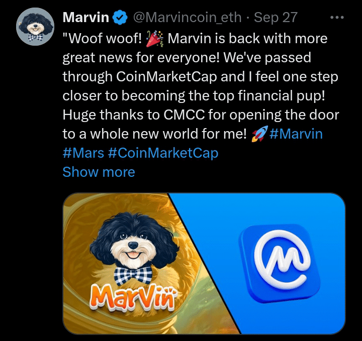 Mavin Inu tweet