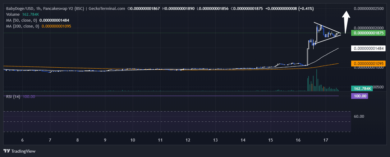 Baby Doge Coin Chart Analysis Source: GeckoTerminal.com