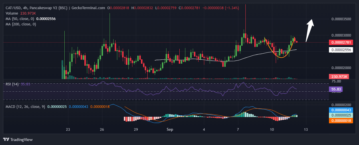 Simon’s Cat Price Chart Analysis Source: GeckoTerminal.com