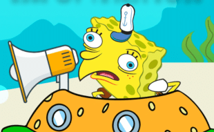 SPONGE