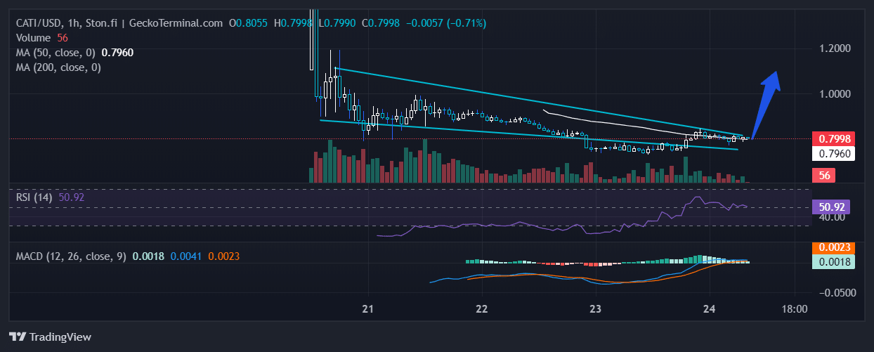 CATIUSD Chart Analysis Source: GeckoTerminal.com