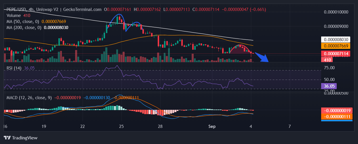 Pepe Price Chart Analysis Source: GeckoTerminal.com