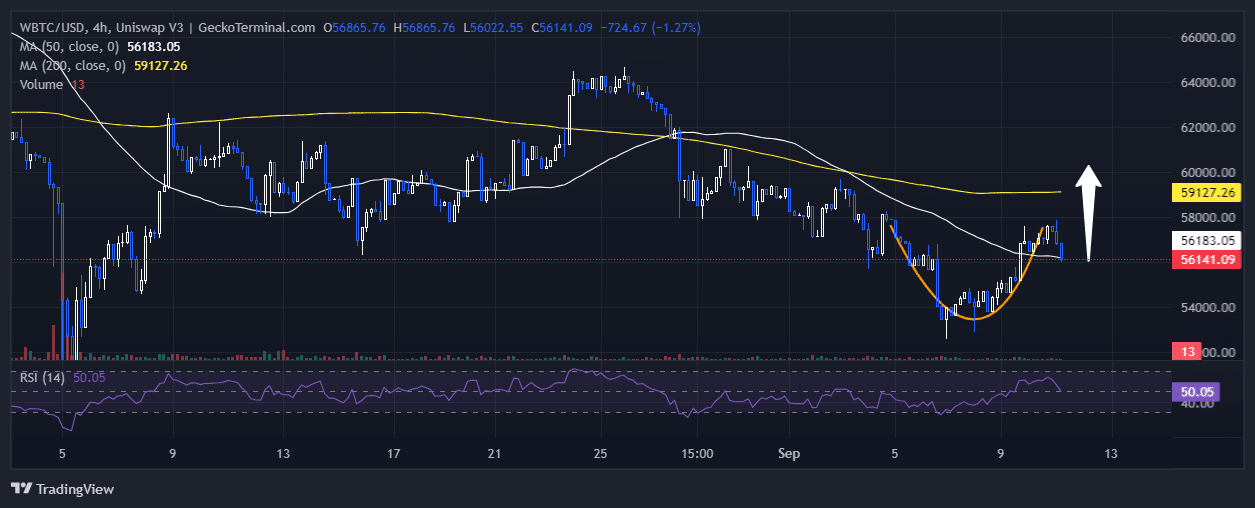 Bitcoin Price