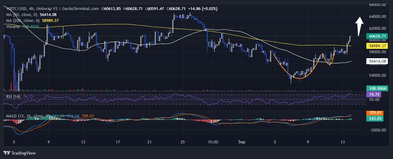 Bitcoin Price Chart Analysis Source: GeckoTerminal.com