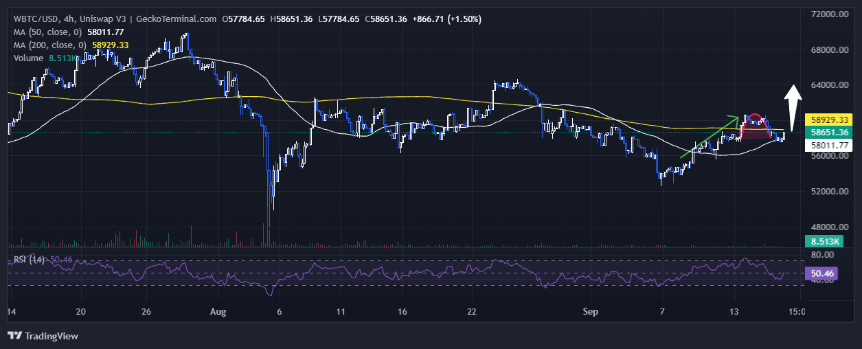 Bitcoin Price Chart Analysis Source: GeckoTerminal.com