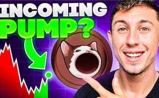 Will $POPCAT Pump to $1, or Does Crypto All-Stars' Presale Offer Greater Potential?