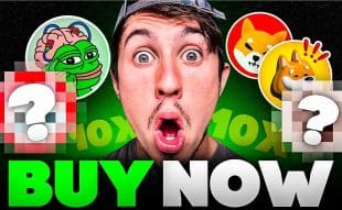 5 Must-Have Meme Coins With Massive Growth Potential – Popcat (SOL), SPX6900, Pepe Unchained, Mog Coin, FreeDum Fighters