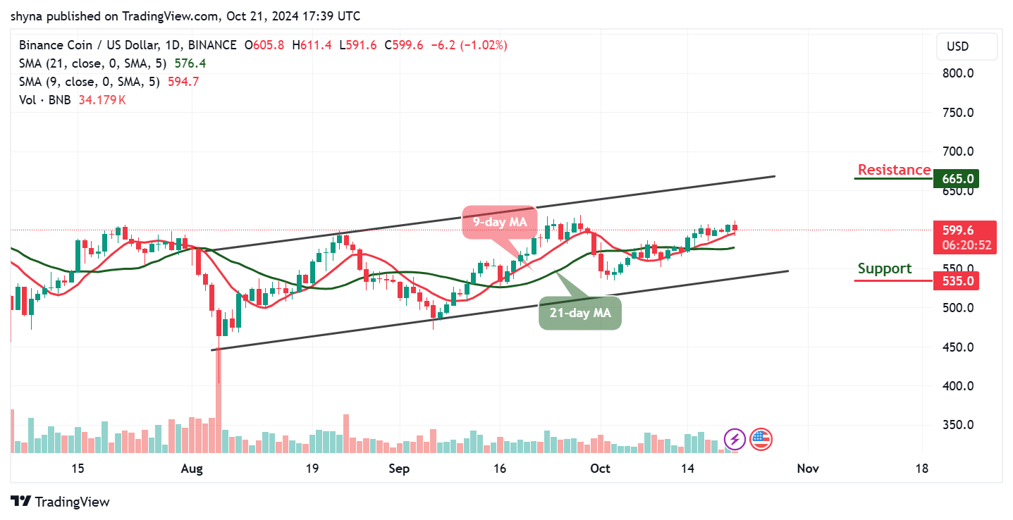 Binance Coin Price Prediction for Today, October 23 – BNB Technical Analysis