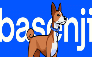 Basenji