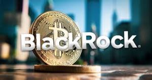 BlackRock's Bitcoin ETF saw record net inflows