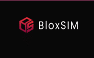 Bloxsim