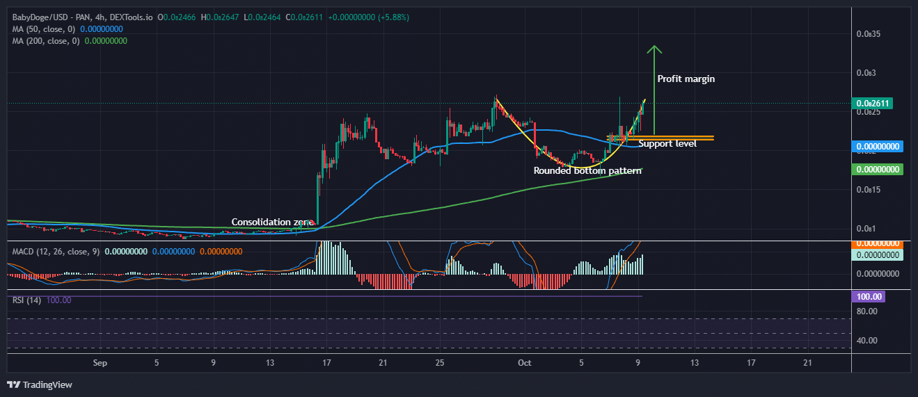 Baby Doge Coin price