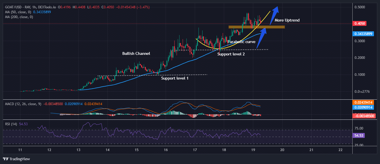 Maximus Goat Price