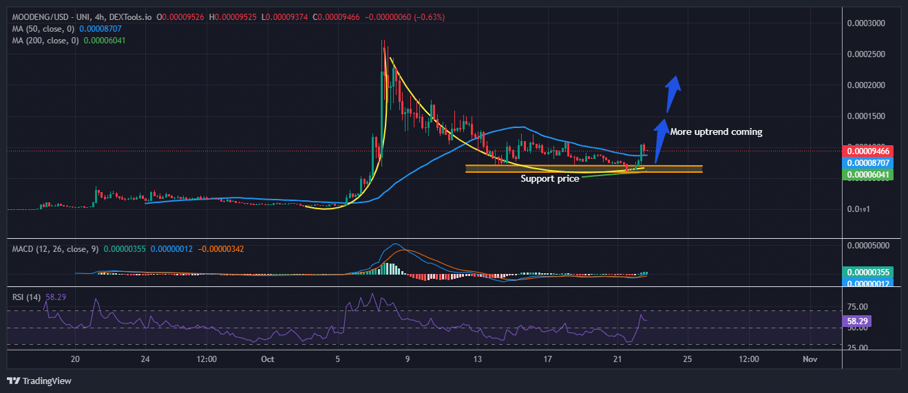 Moo Deng Value Prediction: MOODENG Soars 37% As Whale FOMO Powers Pepe Unchained In direction of  Million