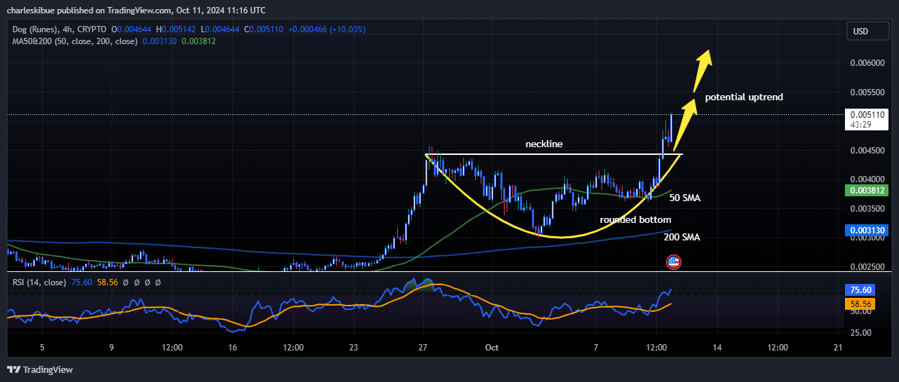 Dog (RUNES) price